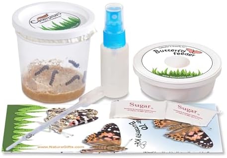 5 Live Caterpillars for Butterfly Kits, Refill with Food, Rearing Supplies by NatureGiftStore