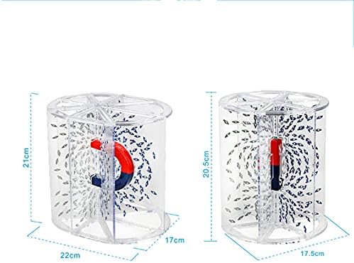 GagalU Physics Experiment Equipment, Three-Dimensional Magnetic Line Demonstrator, Showing The Space Around The Magnetic Field, Used for Teaching Physical Magnetic Field in Middle School - Image 3