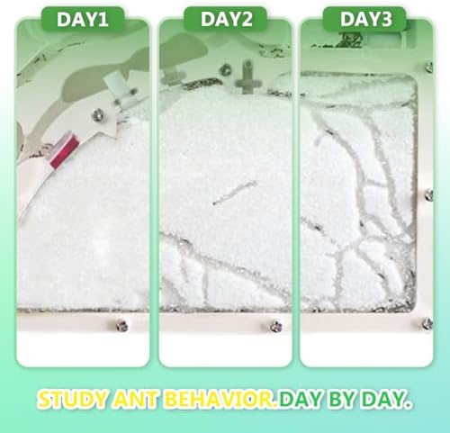 Ant Farm Kit for Kids, Large Ant Farm with Sand, Ant Colony Observation Kit - Image 3