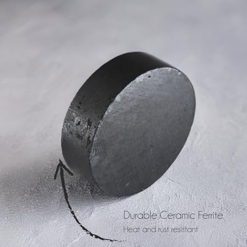 Eisco - Ceramic Disc Magnets Pack of 6-25x5mm - Durable and Versatile Magnets for Science, Education, and Experiments - Ideal for Magnetic Fields Studies, STEM Projects, and Lab Applications - Image 3