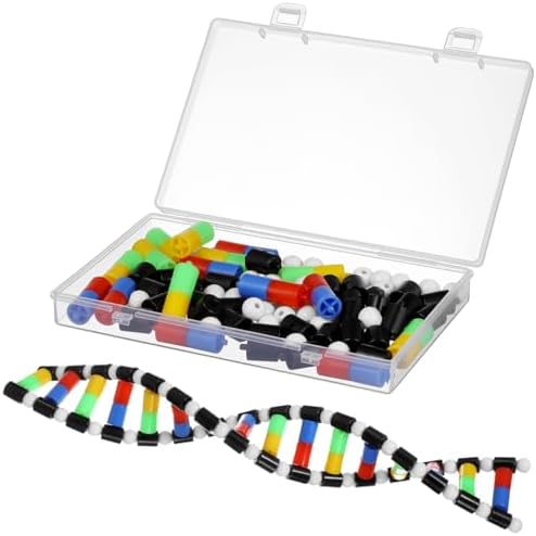 DNA Model, DNA Double Helix Model Kit by Unknown