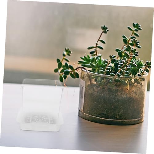 Yardwe 1set Clear Plant Pots with Drainage Holes Transparent Hydroponic for Boys and Girls Educational Gardening Tool for Root Observation and Plant Growth - Image 5
