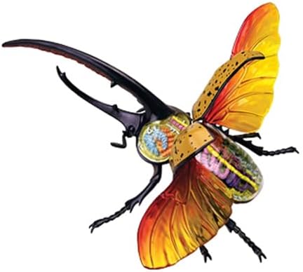 4D Beetle Anatomy Model, 22 Removerable Insect Anatomy Model Biology Teaching Models Insect Organ Model Puzzle Assembly Classroom Study for Teaching - Image 2