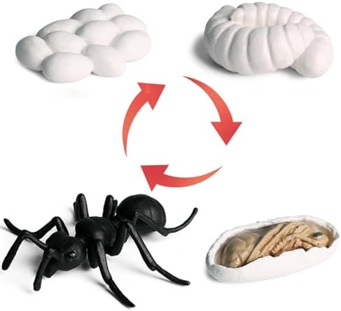 Life Cycleinsects Toys - 6Pcs Educational Figurine Set Ladyybuges - Image 6