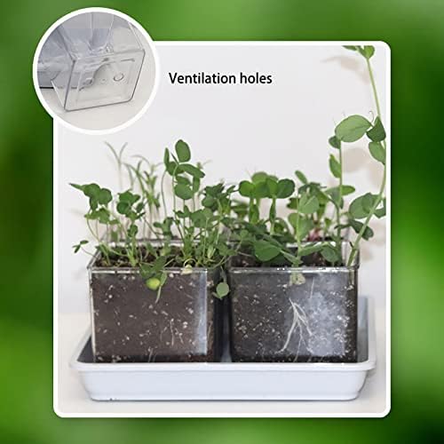Plant Pots Indoor for Indoor, Children's Plant Growth Observation, Small Potted Plants with Transparent Roots, Vegetable Toy Set - Image 4