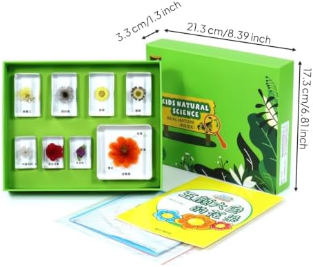 harayaa Children Learning Kit with Resin Sample Blocks Educational Science Set Biology Collection Classroom Tray Hands On Nature Sample Observation Suitable, Colorful Flowers - Image 7