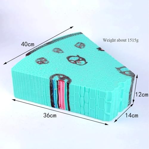 Plant Model Dicotyledonous Herb Stem Model Plant Cell Model Teaching Instruments Corn Stalk Cross-Cut Model for Biology Teaching - Image 2