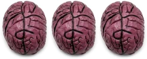 PMU 3Pcs Fake Brain, Brain Model Anatomy Halloween Decor by PMU