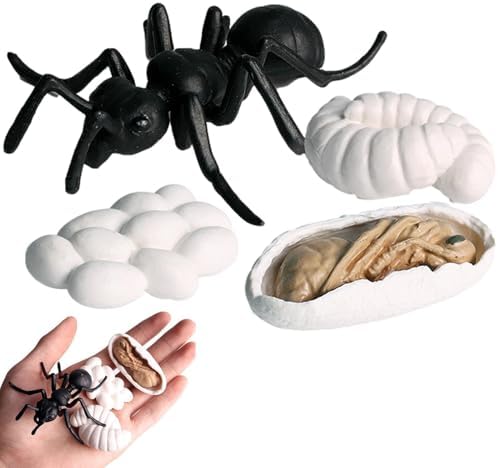 Life Cycleinsects Toys - 6Pcs Educational Figurine Set Ladyybuges by Unknown