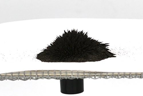 EISCO Coarse Iron Filings, 250g - 20 Mesh Iron Shavings for Magnets - Image 4