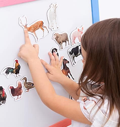 Animals Magnets for Kids - 85 Zoo & Farm, Fruit & Vegetable – Gift - Image 5