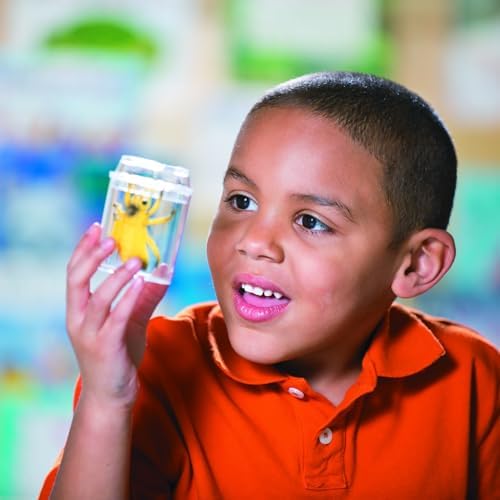 Clear Plastic See-Through Bug Jars - 3" (Pack of 10) - Ideal for Kids' Science Projects & Educational Activities - Image 2