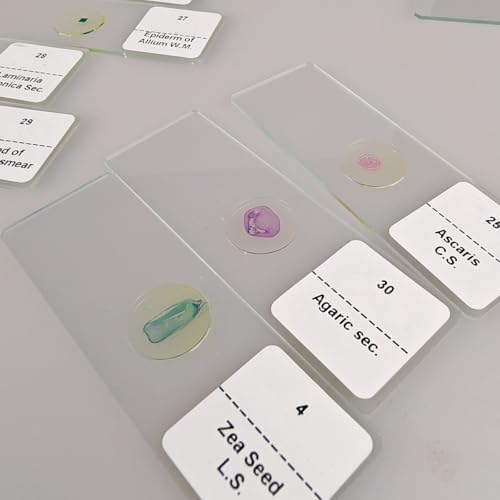 30 Pcs Microscope Slides Prepared Biology Specimen Lab Sample with Insects Plants Science Learning Home School - Image 3