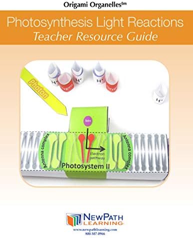 NewPath Learning Photosynthesis & Light Reactions 3-D Paper Model Making Kit, Set/5 Full-Color, Paper Model Templates & Teacher Guide (24-7728) - Image 4