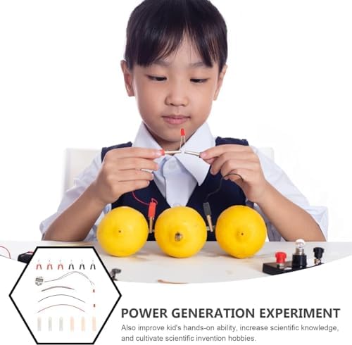 DIY Homemade Fruit Battery Power - Generation Experiment Zinc and Copper Sheets, Scientific Mini Production Invention Instrument, Physical Materials - Image 6