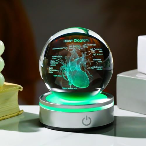 3D Heart Model Crystal Ball Doctors Gift, Cardiologist Gift for Men and Women with Colorful LED Base, Medical Statue for Psychology Graduation, Christmas Heart Anatomy Art Decor - Image 3