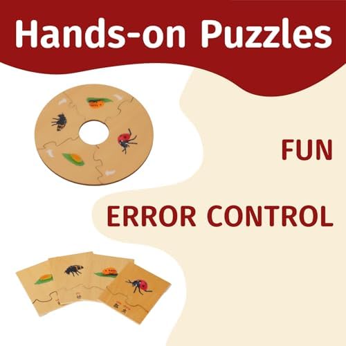 ancona Life Cycle- Ladybug, English Monolingual, Montessori Preschool Memory Matching Game Box Set with Animal Figurines & Matching Puzzle Cards, Early Education Toy - Image 3