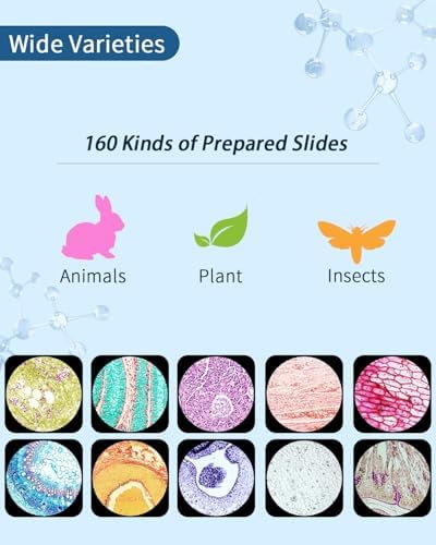160-Pcs Microscope Slides with Specimens,Plant, Animal, Algae,etc,Educational Microscope Slides and Covers for Young Scientists,Perfect for Biology Class and Experiments - Image 4