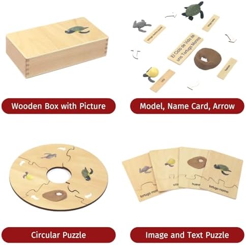 ancona Life Cycle- Sea Turtle, Spanish/Simplified Chinese with Pinyin Bilingual, Montessori Preschool Memory Matching Game Box Set with Animal Figurines & Matching Puzzle Cards, Early Education Toy - Image 2