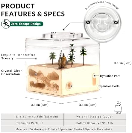 Ant Farm Starter Kit for Beginners & Hobbyist Formicarium Ants NOT Included - Image 6