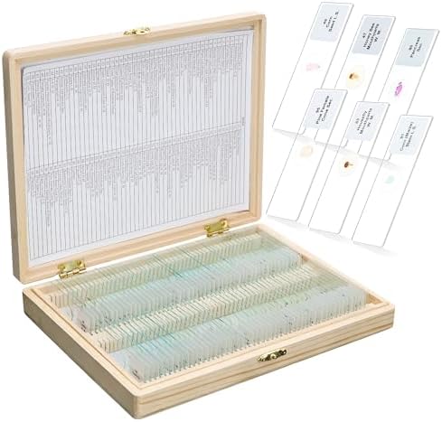 100PCS Microscope Slides with Specimens with Wooden Box, LVQ092 by LabvidaScientificCoLtd