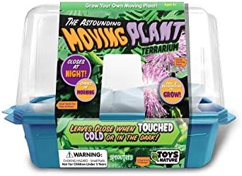 Terrarium Starter Kit - Astounding Moving Plant - Image 2