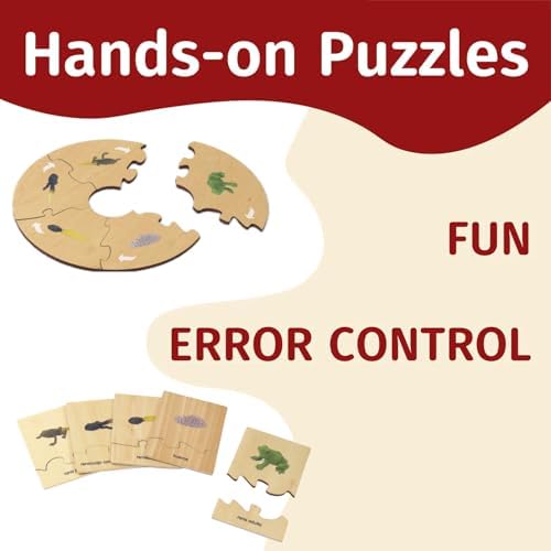 ancona Life Cycle- Frog, Spanish/Simplified Chinese with Pinyin Bilingual, Montessori Preschool Memory Matching Game Box Set with Animal Figurines & Matching Puzzle Cards, Early Education Toy - Image 4