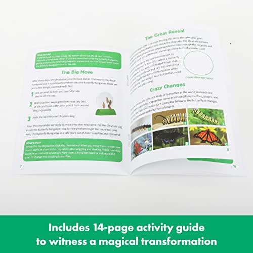Educational Insights GeoSafari Jr. Butterfly Bungalow, Science Kit with Live Caterpillars, Home & Classroom Insect Habitat, Raise & Release Your Own Butterflies, STEM Gift for Kids Ages 4+ - Image 5