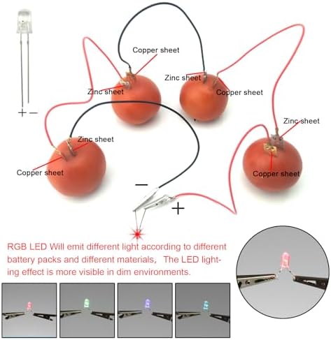 EUDAX Fruit Battery Science Experiment Kit for DIY School Home Teaching Equipment, Orange Lemon Potato Electronic Clock Science Project Kit Physics Educational for Students Teachers (4 Set) - Image 6
