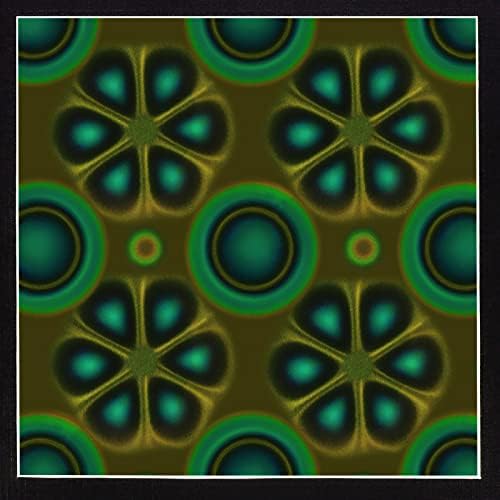 Magnetic Field Viewing Film, Magnetic Field Viewer, 4 x 4 Inch by Learay