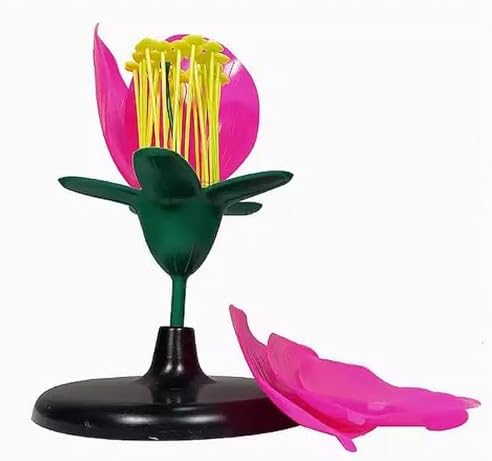 Classroom Ready Modular Peach Flower Structure Kits for Interactive Plant Biology Lessons and Experiments Biology Teaching for Students - Image 6