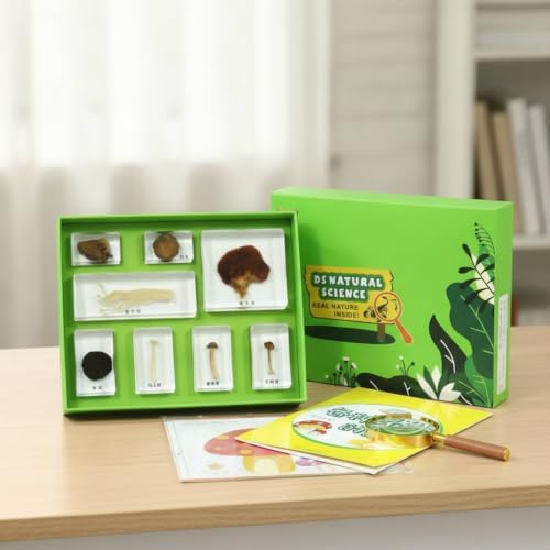 harayaa Children Learning Kit with Resin Sample Blocks Educational Science Set Biology Collection Classroom Tray Hands On Nature Sample Observation Suitable, Colorful Flowers - Image 5