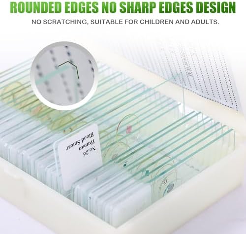 30 Microscope Slides with specimens, Plants, Insects, Animal Cell Samples for use in Biological Science Labs for Children, Students and homeschools - Image 7