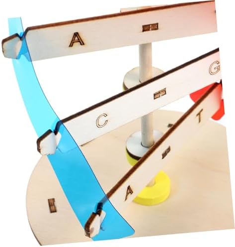 DIY DNA Double Helix Model Science Kit for Kids Students - Image 5