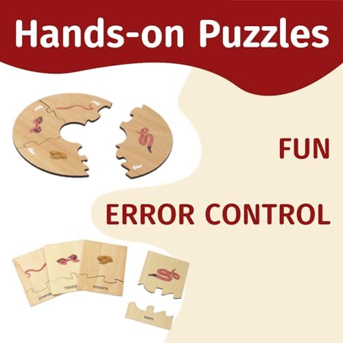 ancona Life Cycle- Worm, English Monolingual, Montessori Preschool Memory Matching Game Box Set with Animal Figurines & Matching Puzzle Cards, Early Education Toy - Image 3
