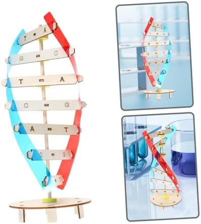 DIY DNA Double Helix Model Science Teaching Instrument for Kids - Image 3