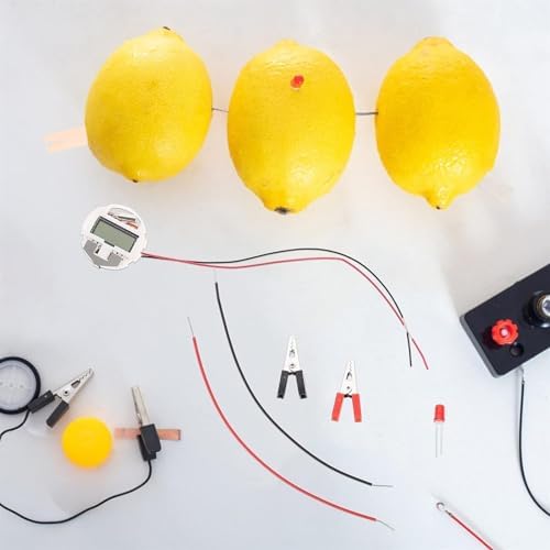 Homemade Fruit Battery Experiment Kit - 2 Single-Ended Alligator Clip Wires, 3 Double U-Type & Colorful Mini Lamps - Image 3