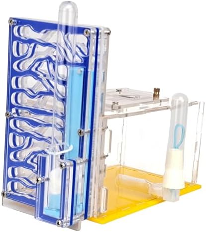 ANT Housing Nest Habitat Transparent Acrylic with Feeder ANT Farm Display Box for Gift Lovers Birthday Decor Children's Day, Blue by MYCENSE