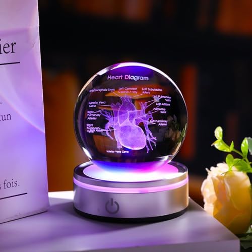 3D Heart Model Crystal Ball Doctors Gift, Cardiologist Gift for Men and Women with Colorful LED Base, Medical Statue for Psychology Graduation, Christmas Heart Anatomy Art Decor - Image 4