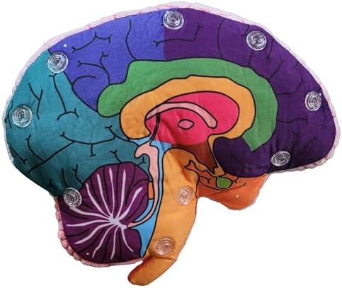 GIANTmicrobes Brain Model Anatomy Plush with Embroidered Details - Image 4