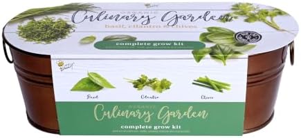Buzzy Seeds Windowsill Herb Kit, Metal Planter, Basil Cilantro & Chives by BUZZY