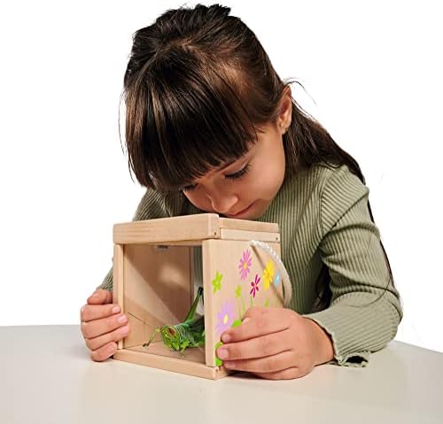 Eichhorn - Outdoor Insect Observation Box for Assembling and Painting, Includes Paint and Brush, 12 x 12 x 12 cm, Made of Basswood, from 6 Years - Image 2