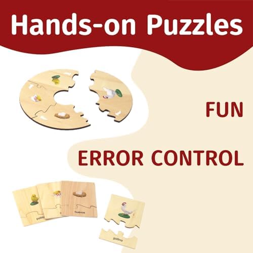 ancona Life Cycle- Chicken, Spanish/Simplified Chinese with Pinyin Bilingual, Montessori Preschool Memory Matching Game Box Set with Animal Figurines & Matching Puzzle Cards, Early Education Toy - Image 4