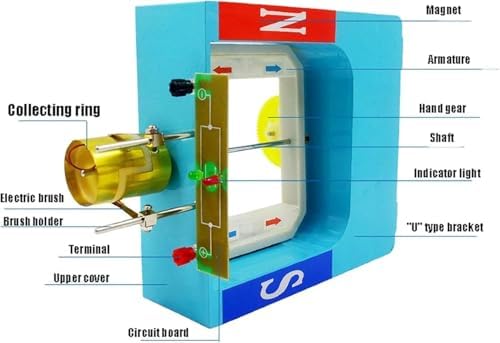 Dual-Purpose AC DC Generator & Motor Combined Model, Physics Electromagnetic Energy Conversion Demonstrator, Magnetic Field Coil Rotation Experimental Teaching Instrument - Image 5