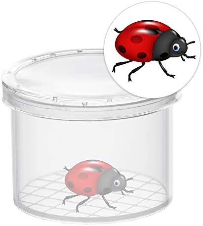 Coopay 32 Pieces Bug Viewer Critter Insect Cage Magnifying Insect Box Bug Magnifier Container Catcher Cage, Science Nature Exploration Toys - Image 2
