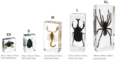 20-Pcs Insect Specimens in Resin Crystal Preserved, Taxidermy Bug - Image 3