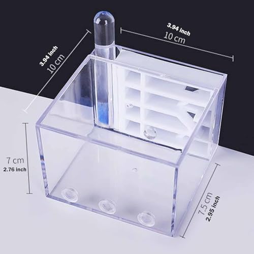 Baoblaze ANT Farm Habitat Toys Acrylic Workshop DIY Supplies House for Children's Day Gift Science Observation Decor Tabletop - Image 3