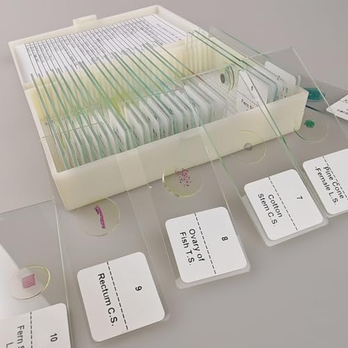 30 Pcs Microscope Slides Prepared Biology Specimen Lab Sample with Insects Plants Science Learning Home School - Image 5