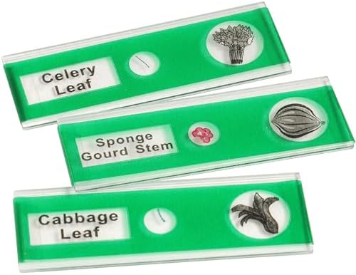 Prepared Microscope Slides for Kids – 12 Plastic Vegetable Specimens with Labels & Images – Safe, Durable Biology Science Kit for Students Ages 8+ - Image 5