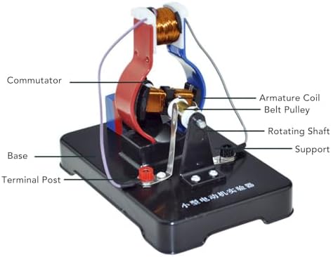 BORDSTRACT Simple Electric Motor Model, DC 3-6V Magnet Motor Model Assemble DIY Kit J24018 for Studying Magnetic Line of Force Display Model Physics Science Educational Practice - Image 2